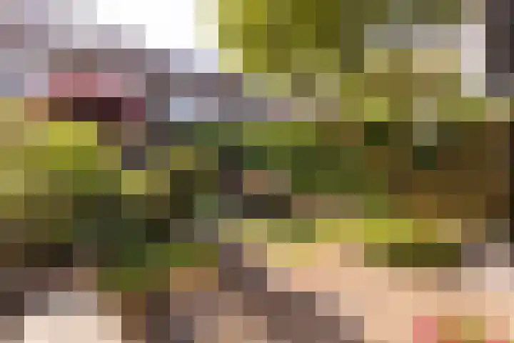 Narcissenlaan 19 Bennebroek thumbnail 28