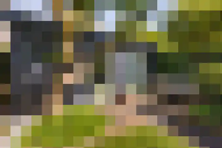 Narcissenlaan 19 Bennebroek thumbnail 29
