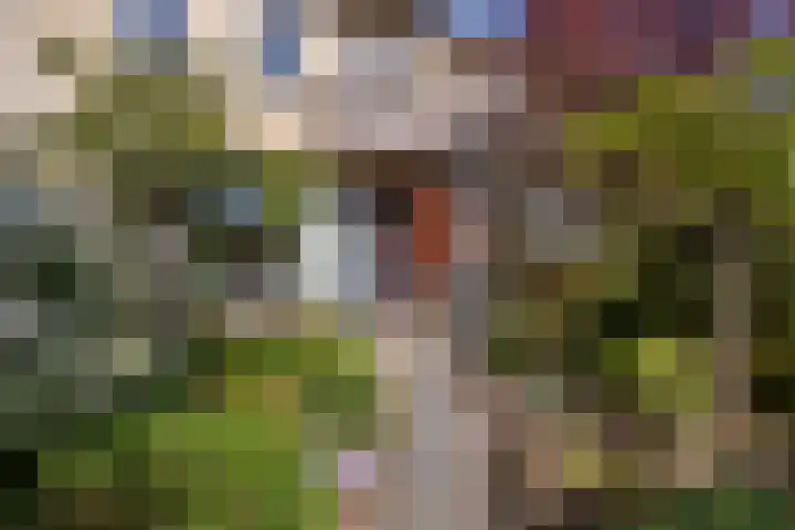 Narcissenlaan 19 Bennebroek thumbnail 32