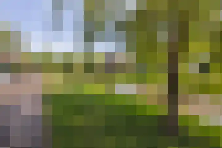 Narcissenlaan 19 Bennebroek thumbnail 33