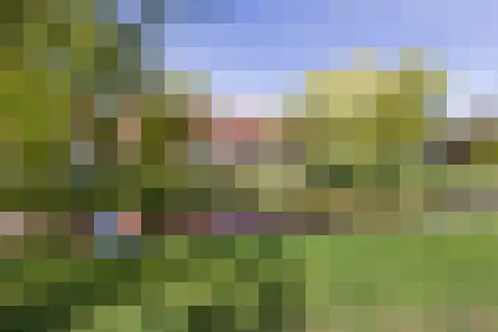 Narcissenlaan 19 Bennebroek thumbnail 34