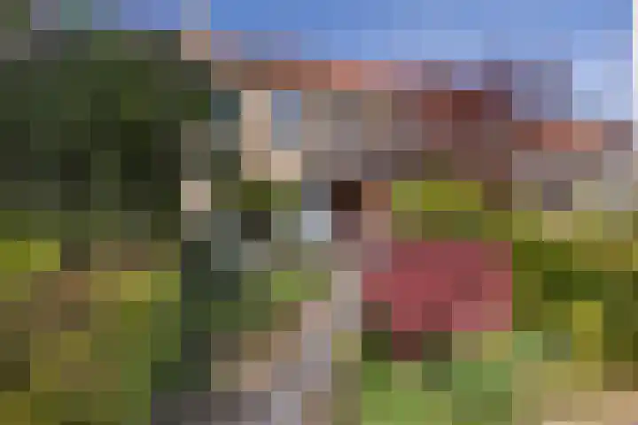 Narcissenlaan 19 Bennebroek thumbnail 40