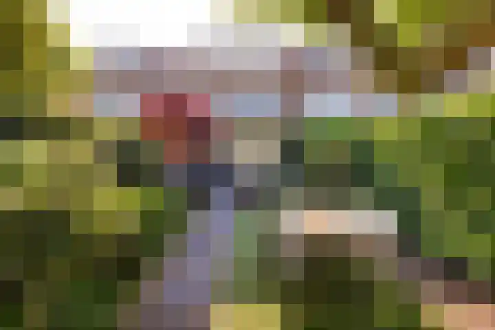 Narcissenlaan 19 Bennebroek thumbnail 6