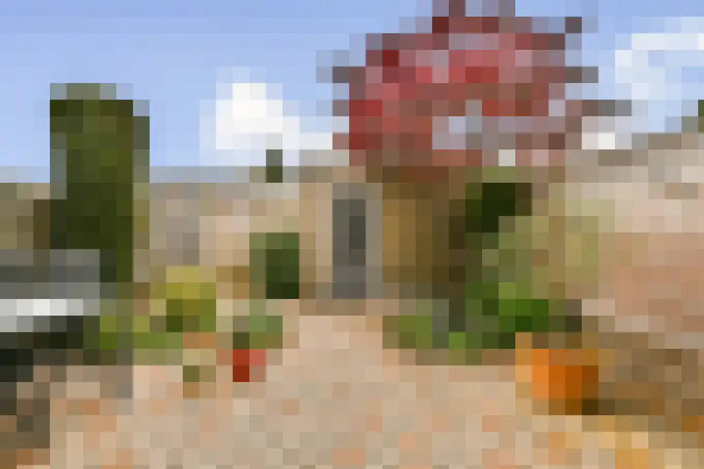 Narcissenlaan 21 Sassenheim thumbnail 22