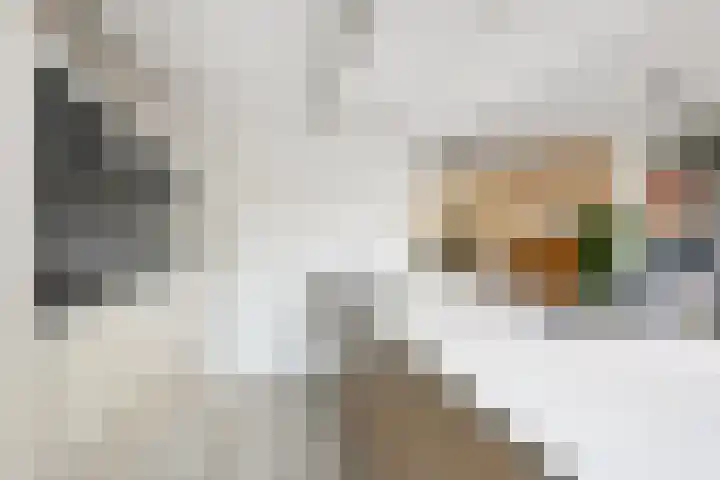 Narcissenlaan 3 Bennebroek thumbnail 10