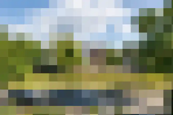 Narcissenlaan 3 Bennebroek thumbnail 16