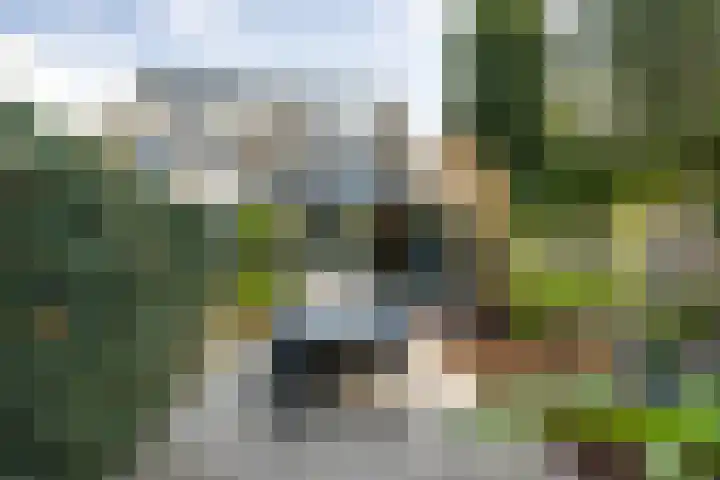 Narcissenlaan 3 Bennebroek thumbnail 24