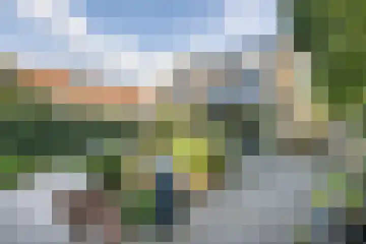 Narcissenlaan 3 Bennebroek thumbnail 25