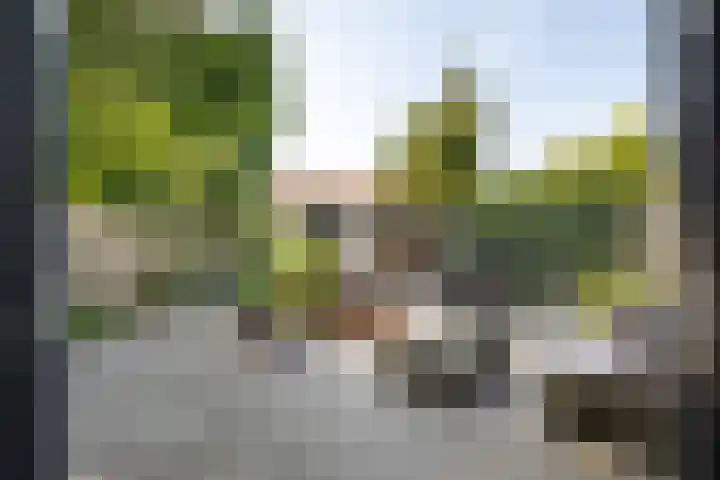 Narcissenlaan 3 Bennebroek thumbnail 26