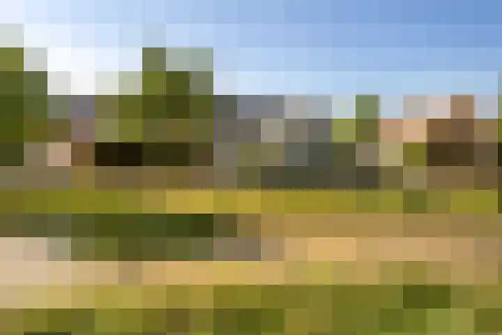 Narcissenlaan 3 Bennebroek thumbnail 28