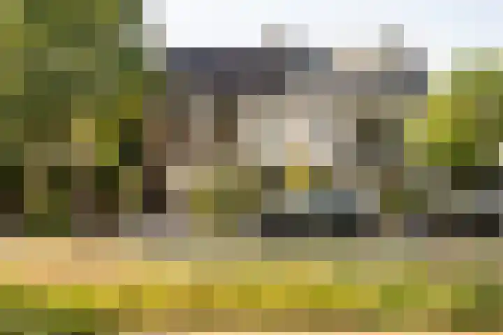 Narcissenlaan 3 Bennebroek thumbnail 29