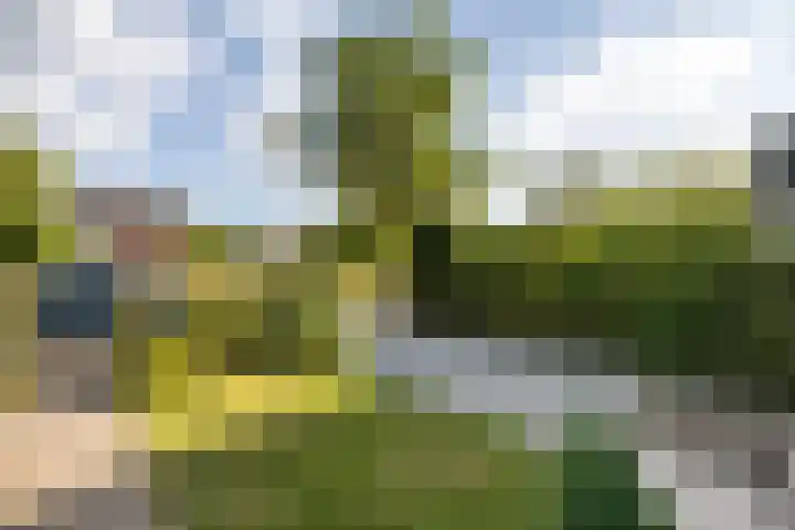 Narcissenlaan 3 Bennebroek thumbnail 31