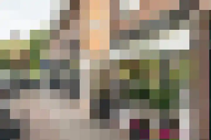 Narcissenlaan 3 Bennebroek thumbnail 33