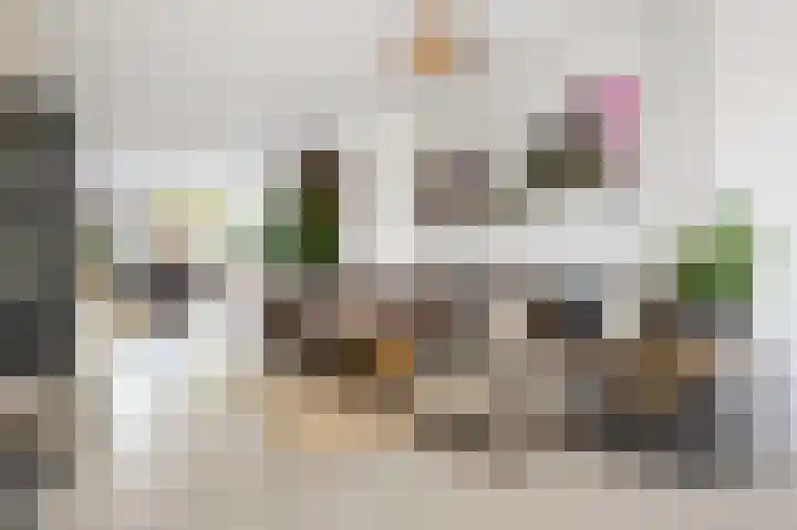 Narcissenlaan 3 Bennebroek thumbnail 4