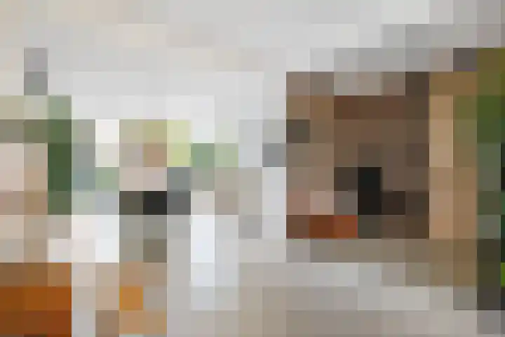 Narcissenlaan 3 Bennebroek thumbnail 6