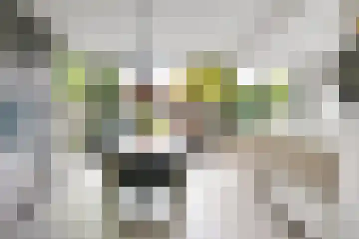 Narcissenlaan 3 Bennebroek thumbnail 8