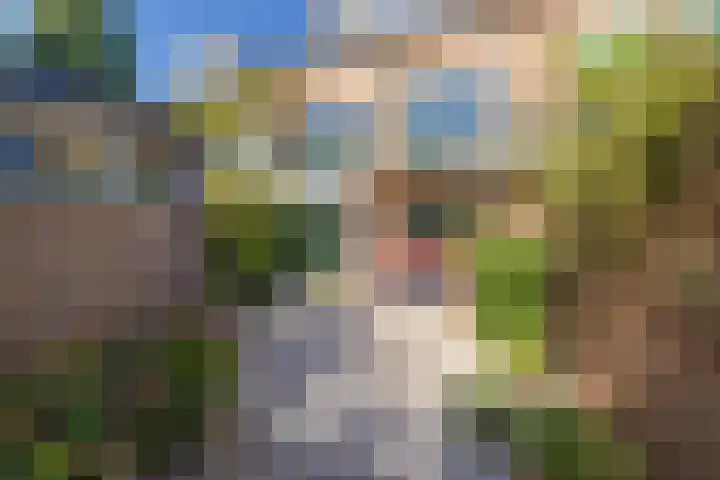 Narcissenlaan 34 Bennebroek thumbnail 20