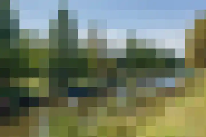 Narcissenlaan 34 Bennebroek thumbnail 51