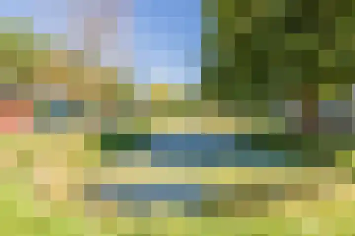 Narcissenlaan 34 Bennebroek thumbnail 52