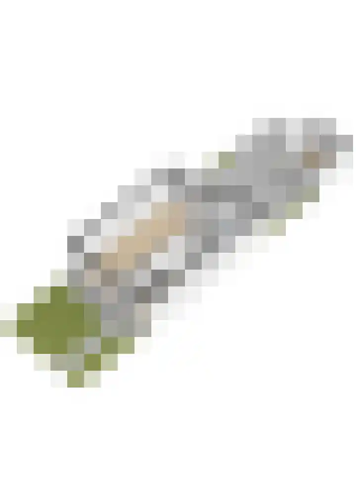 Narcissenlaan 34 Bennebroek thumbnail 64