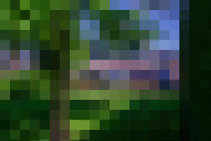 Narcissenlaan 52 Bennebroek thumbnail 43