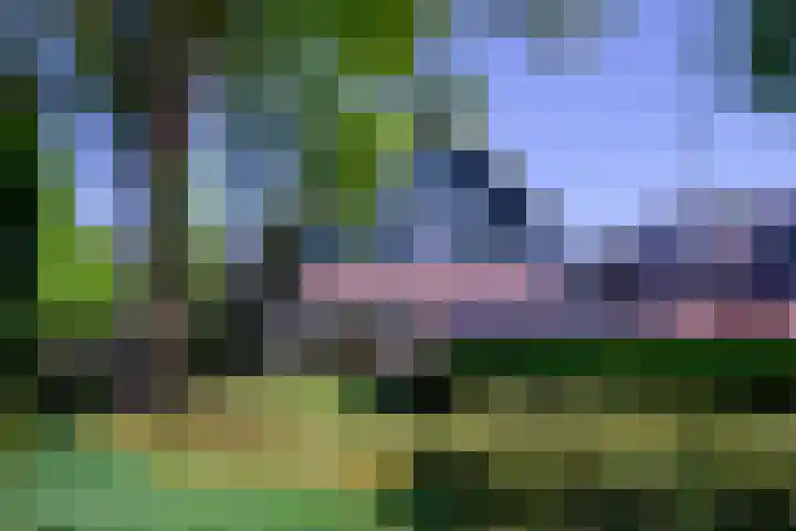 Narcissenlaan 52 Bennebroek thumbnail 44
