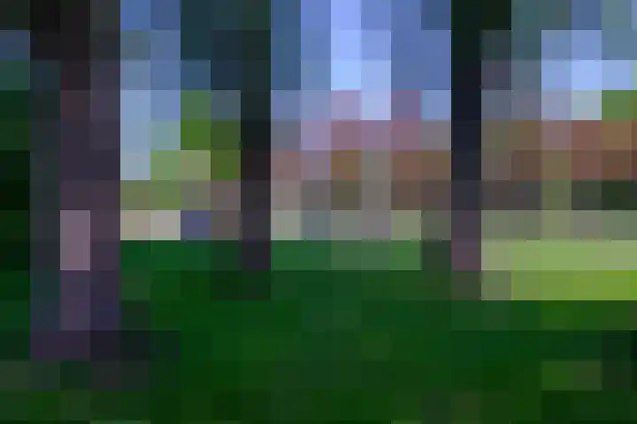 Narcissenlaan 52 Bennebroek thumbnail 47