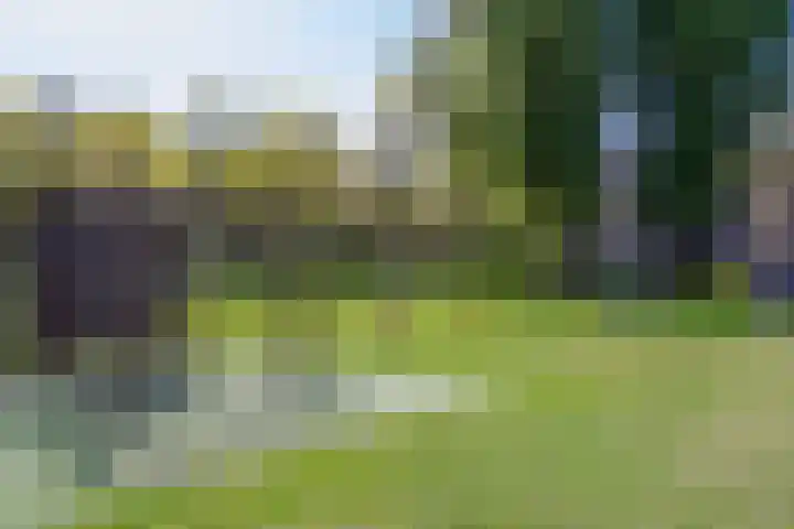 Narcissenlaan 52 Bennebroek thumbnail 48