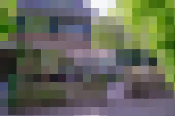 Narcissenlaan 52 Bennebroek thumbnail 6