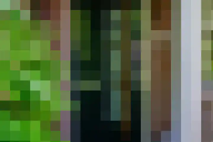 Narcissenlaan 52 Bennebroek thumbnail 7