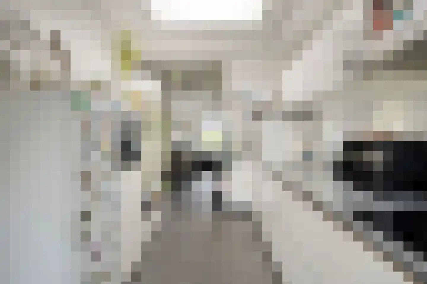 Narcissensingel 20 Geleen thumbnail 10