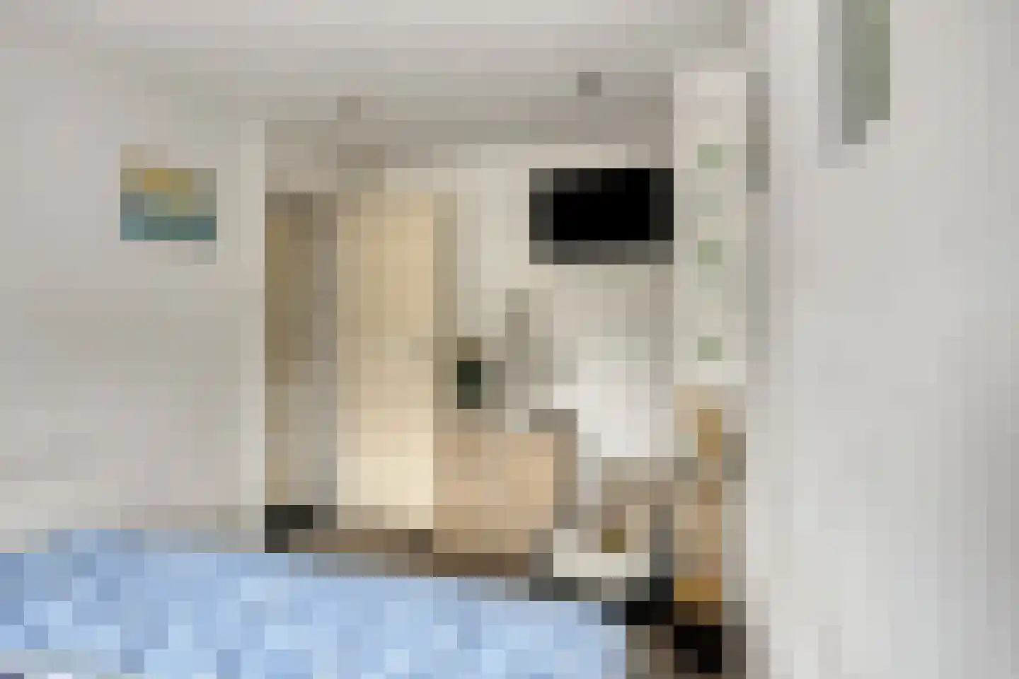 Narcissensingel 20 Geleen thumbnail 17