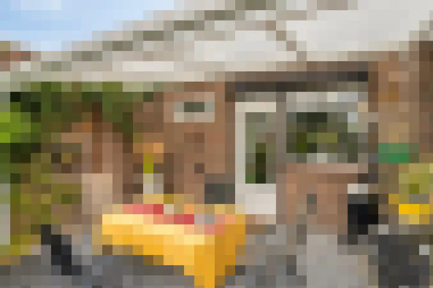 Narcissensingel 20 Geleen thumbnail 22