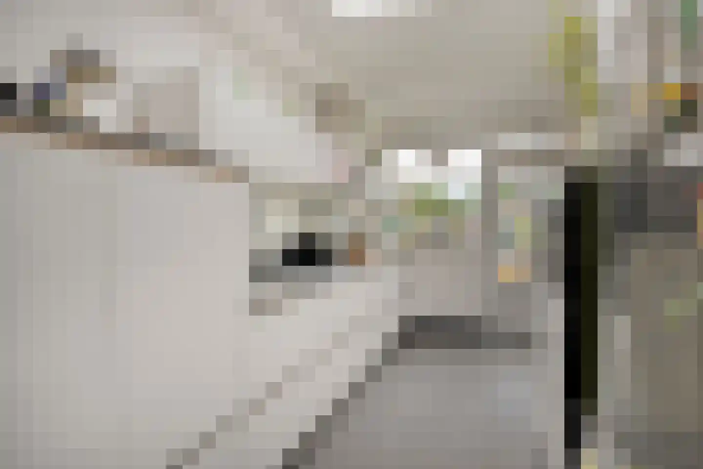 Narcissensingel 20 Geleen thumbnail 9