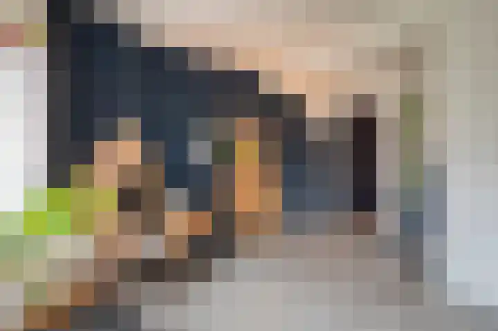Narcissensingel 94 Geleen thumbnail 12
