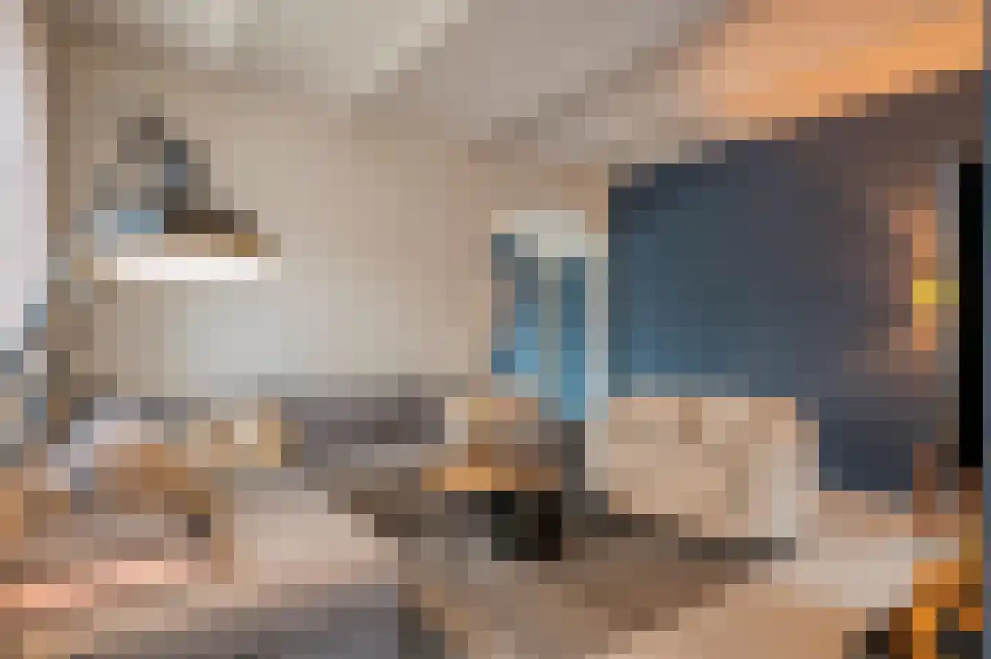 Narcissensingel 94 Geleen thumbnail 14