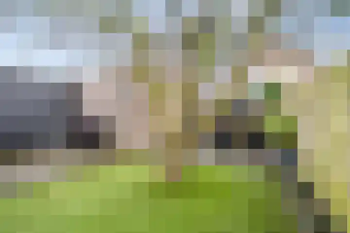 Narcissensingel 94 Geleen thumbnail 31