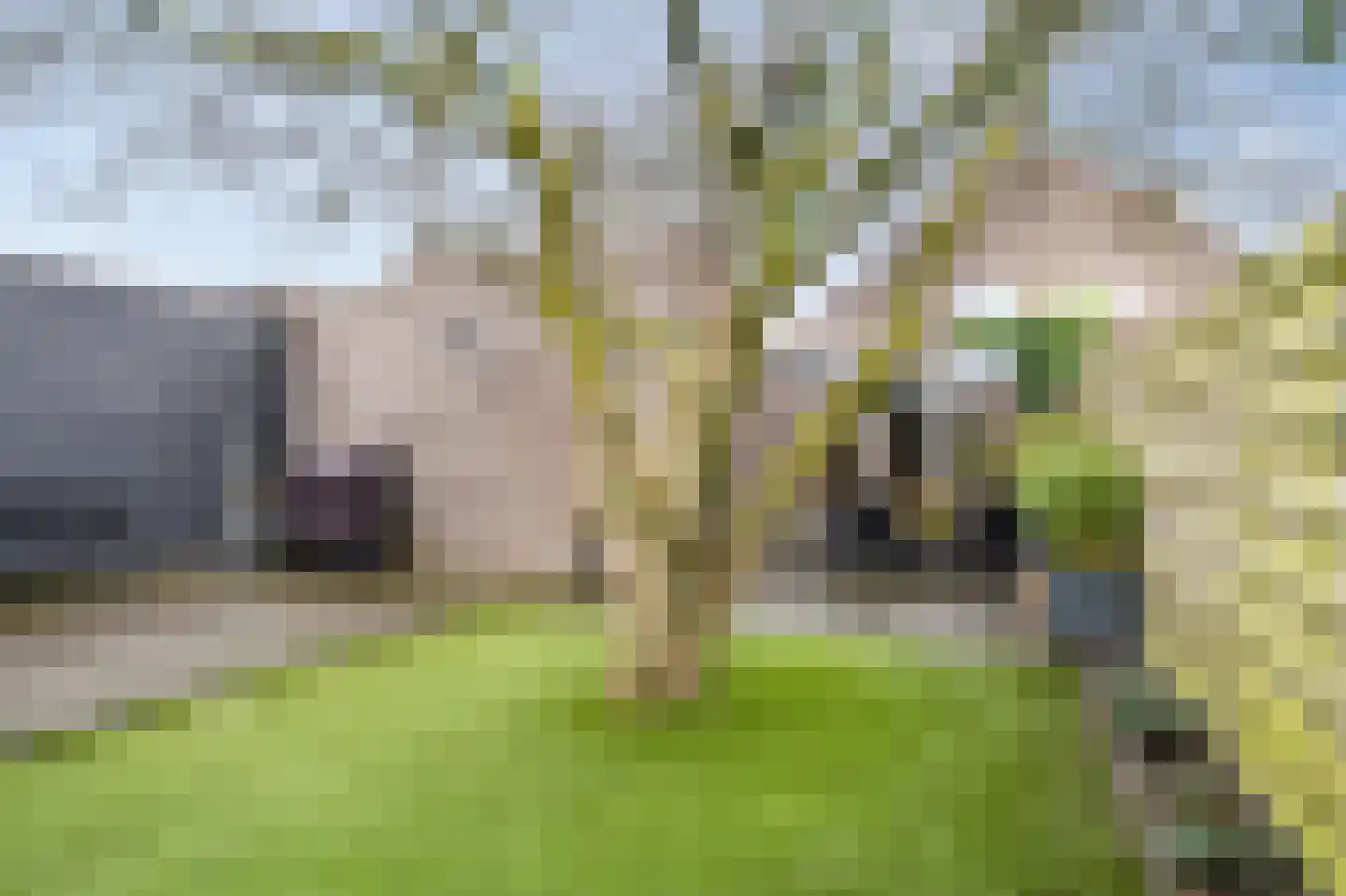 Narcissensingel 94 Geleen thumbnail 31