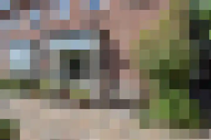 Narcissensingel 94 Geleen thumbnail 39