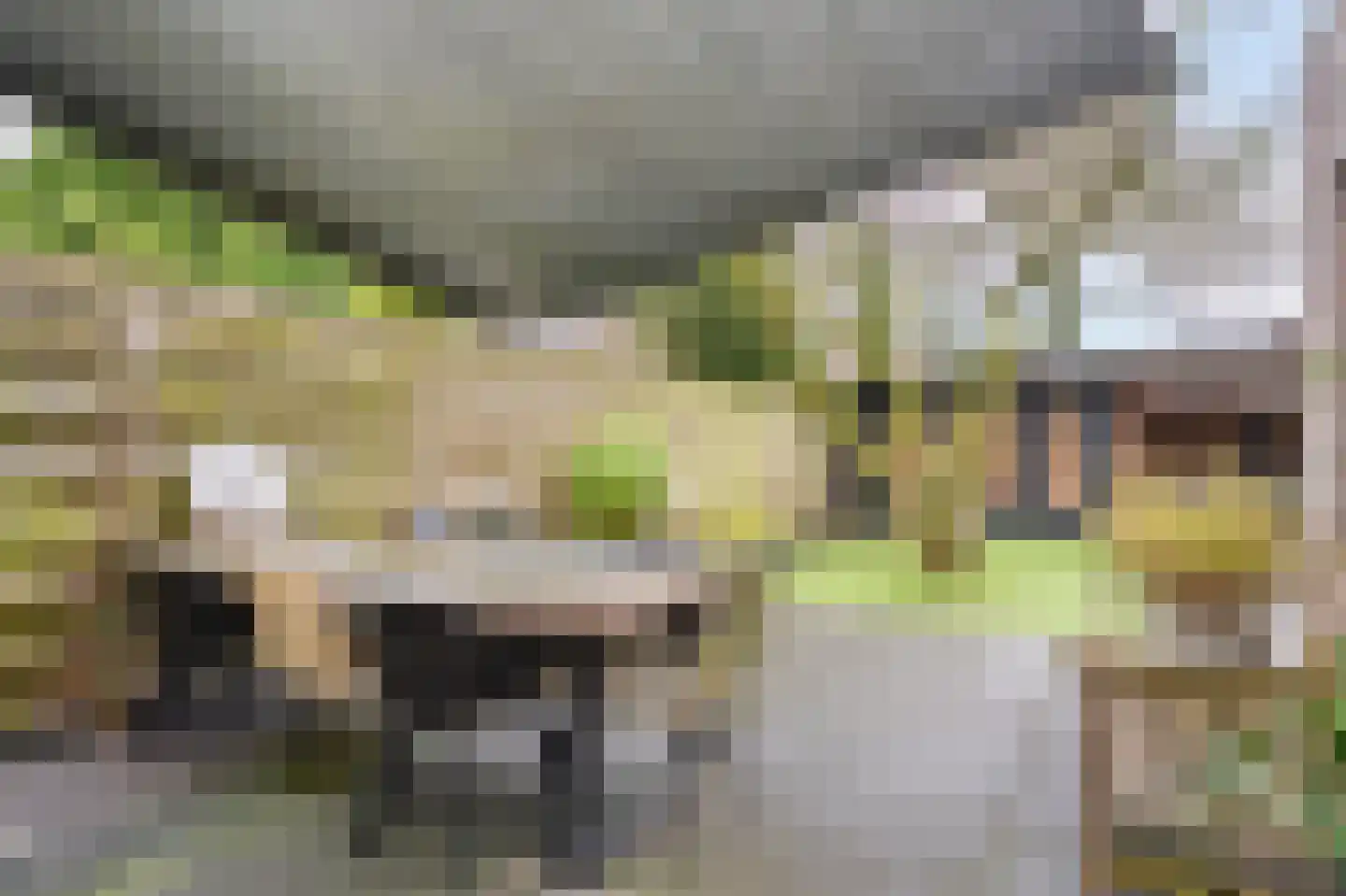 Narcissensingel 94 Geleen thumbnail 5