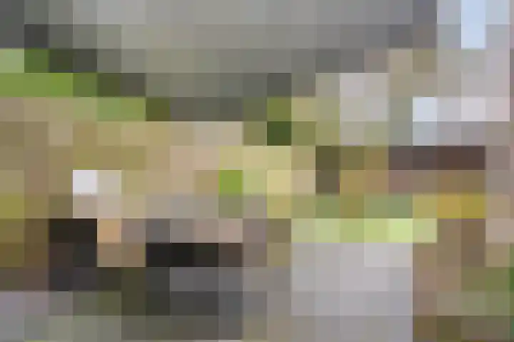 Narcissensingel 94 Geleen thumbnail 5