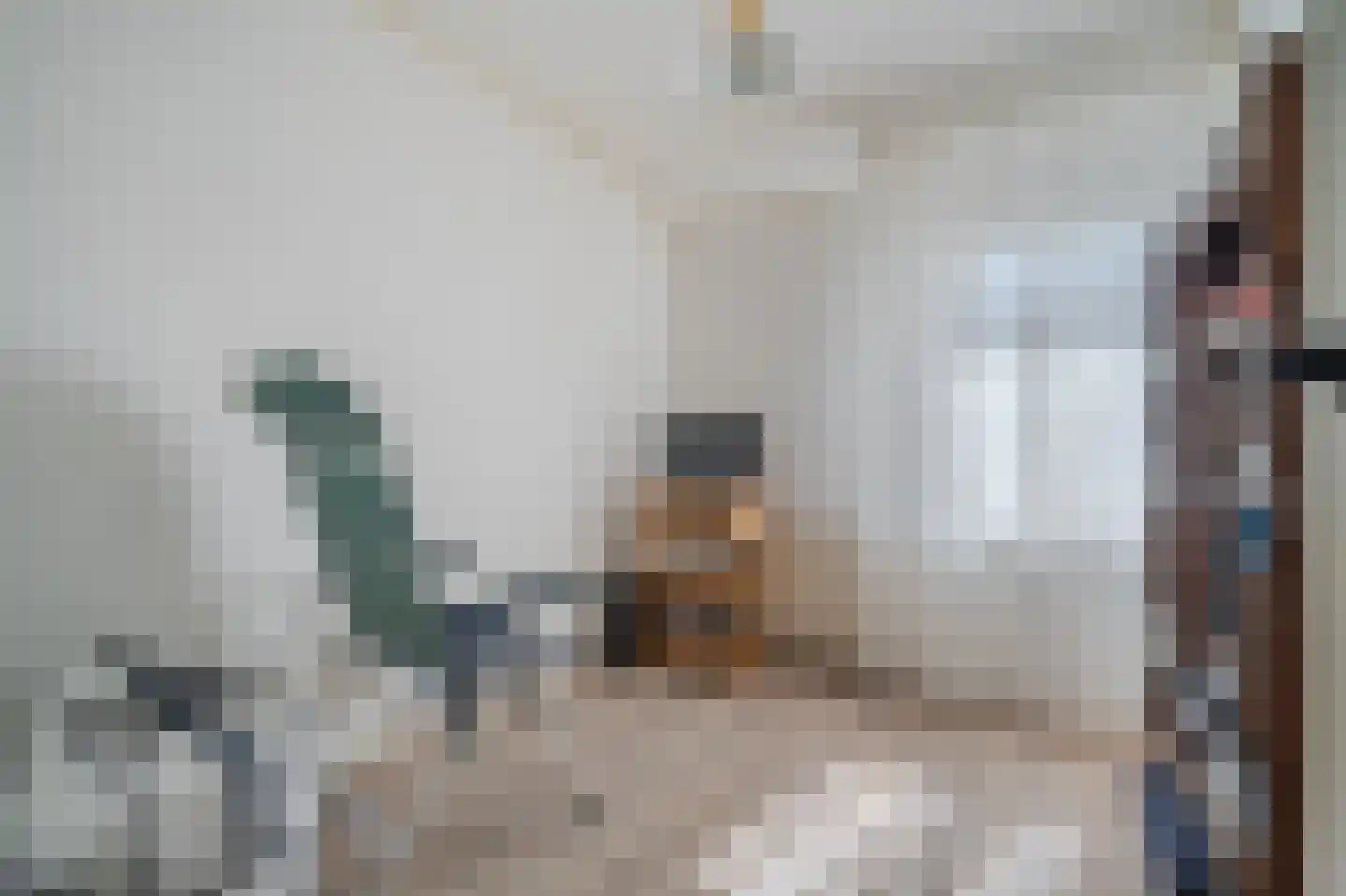 Narcissenstraat 1 Sappemeer thumbnail 16