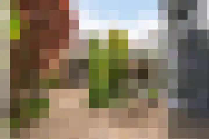 Narcissenstraat 1 Volendam thumbnail 36