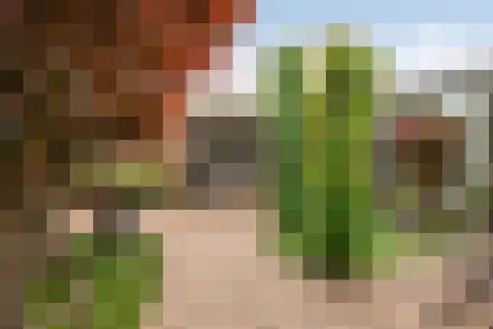 Narcissenstraat 1 Volendam thumbnail 37