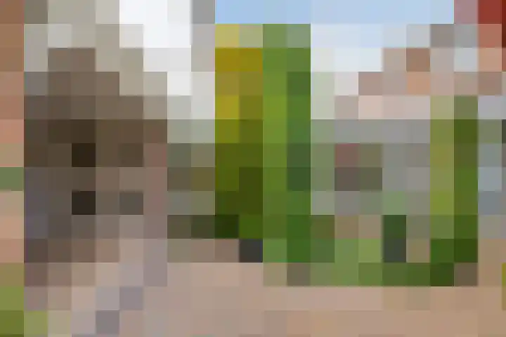 Narcissenstraat 1 Volendam thumbnail 39