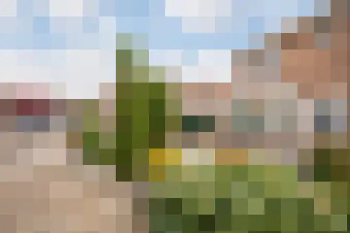 Narcissenstraat 1 Volendam thumbnail 4