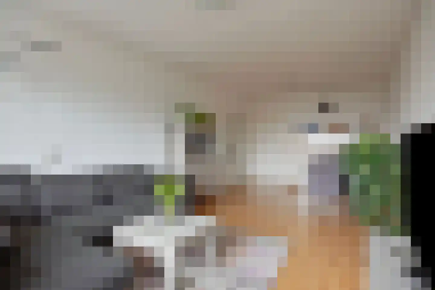 Narcissenstraat 146 Echt thumbnail 6