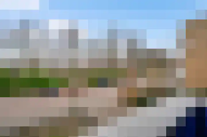 Narcissenstraat 150 Echt thumbnail 17