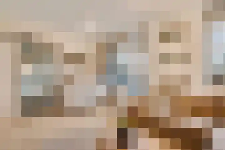 Narcissenstraat 150 Echt thumbnail 9