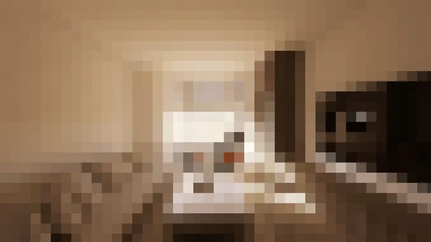Narcissenstraat 17 Oldenzaal thumbnail 4